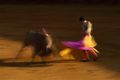 The Bullfight Ernst Haas