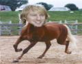 Known to the media and Furfags as The Butterscotch Stallion