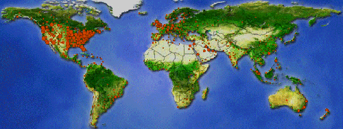 This map represents the global tracker of bed bug cases and may represent future bombing locations.