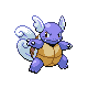 MRKwartortle.png