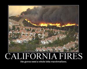 Cali fires.jpg