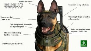 Call Of Duty Ghosts Dog.jpg