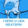 So I herd u liek Meatspin?