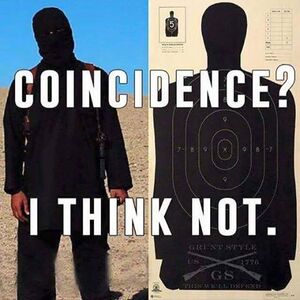 Coincidence isis.jpg