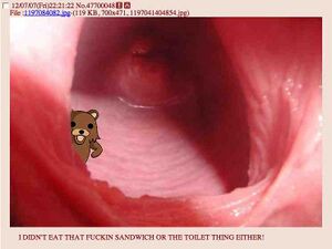 Pedobear.toilet.jpg