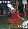 Invisible