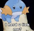 o mudkip?!