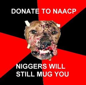 Racist dog naacp1.jpg