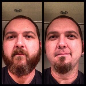 BeardforeAndAfter.jpg