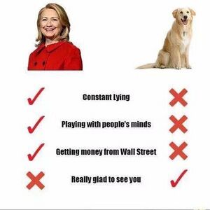 Hillaryvsadog.jpg