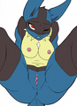 Told ya that female Lucarios exist.