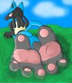 An example of the fandom for Lucario's paws.