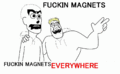 Fuckin Magnets