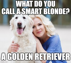 Smart blondes are dogs..jpg