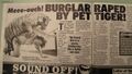 July 24, 2011 Burglar raped by pet tiger.