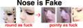 Nose is fake