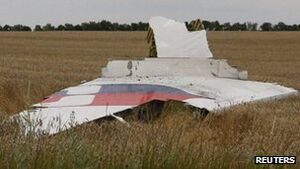 MH17 Wreckage 03.jpg