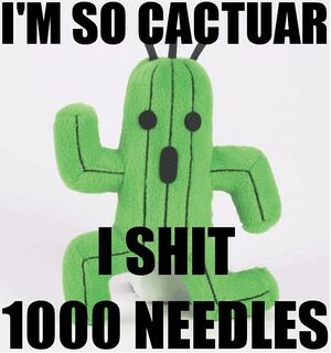 Im So Cactuar.JPG