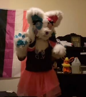 Kittydog fursuit.jpeg