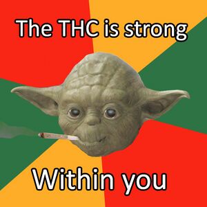 Ganja yoda 8.jpg