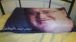 Gabe pillow.jpg