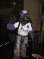 FrankenFursuit as documented at Mephit Furmeet '06