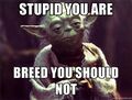 Yoda gives sound advice.