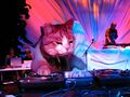 The greatest DJ of them all... BIKECAT!!