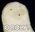 The 'O Roly?' Owl