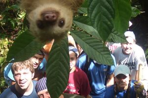 Photobomb Sloth.jpg