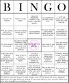 Homo bingo