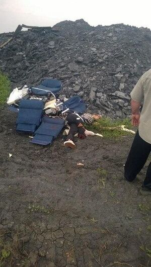 MH17 Wreckage 14.jpg