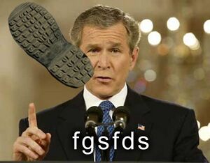 Bush fgsfdshoe.jpg