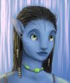 After adding the Avatar's genes into the Na'vi's Gene Pool, ugly Down Syndrome's Na'vilets were born.