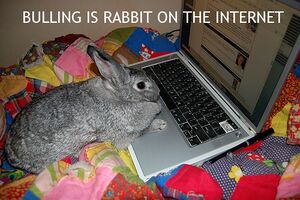 Rabbit bulling.jpg