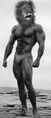 FRANK ZANE IS A LION GET IN THE CAR