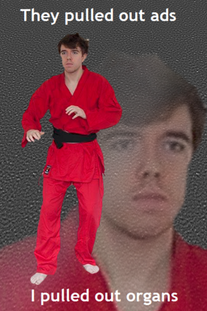 Kung fu guy1.png