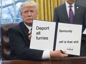 Trump Book Deport Furries.jpg