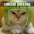 Limecat says fail.