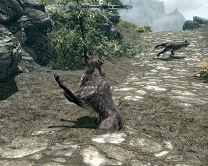 Skyrim bug again by zuckerspinne-d4guotg.jpg