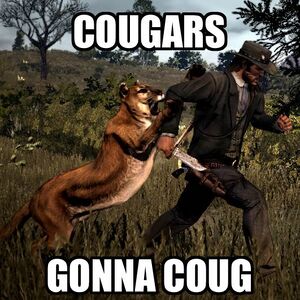 Cougars Gonna Coug.jpg