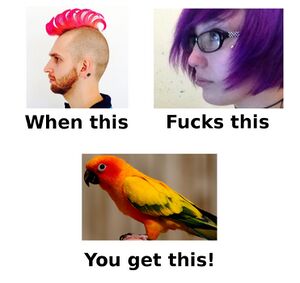 Parrotpals.jpg