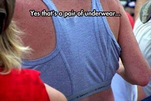 Redneck underwear hoodie.jpg