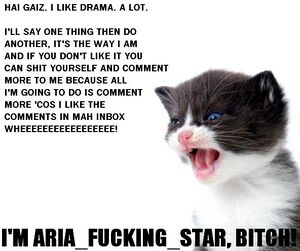 Aria fucking star.jpg