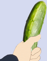 Pickle version (special for Kurisu-chan)