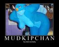 So, i herd you liek mudkipchan?