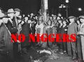 NO NIGGERS