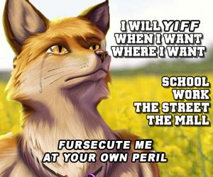 Fursec01.jpg