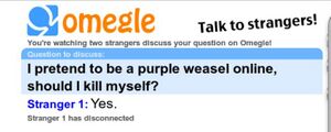 Omegle purple weasel 03.JPG