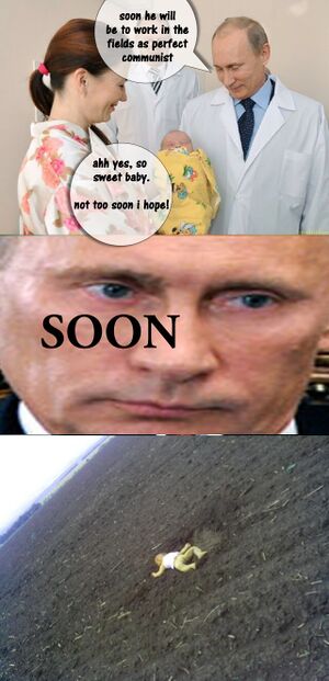 Putinbabyfield.jpg